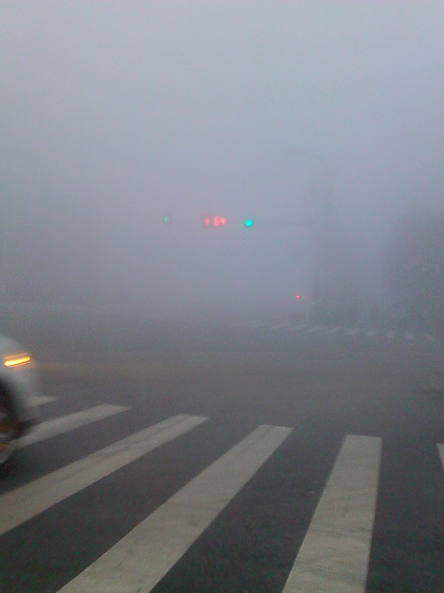IMG_20131206_075105.jpg