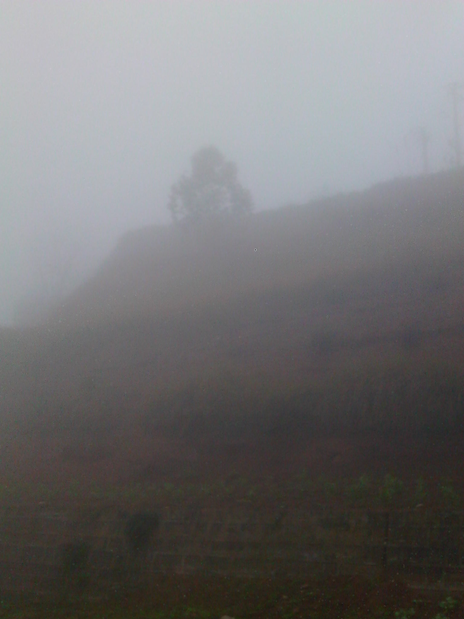 IMG_20131206_080118.jpg