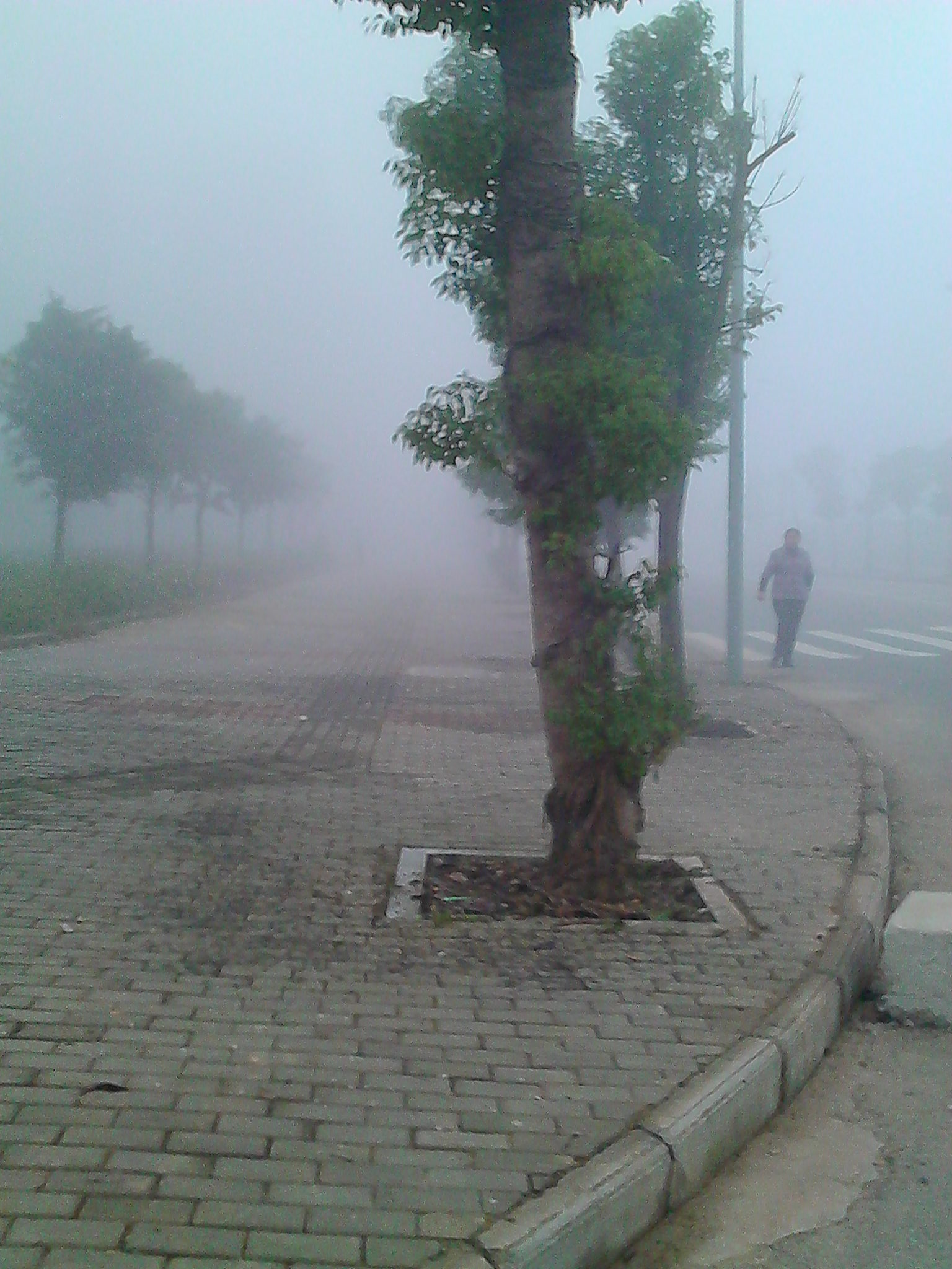IMG_20131206_080912.jpg