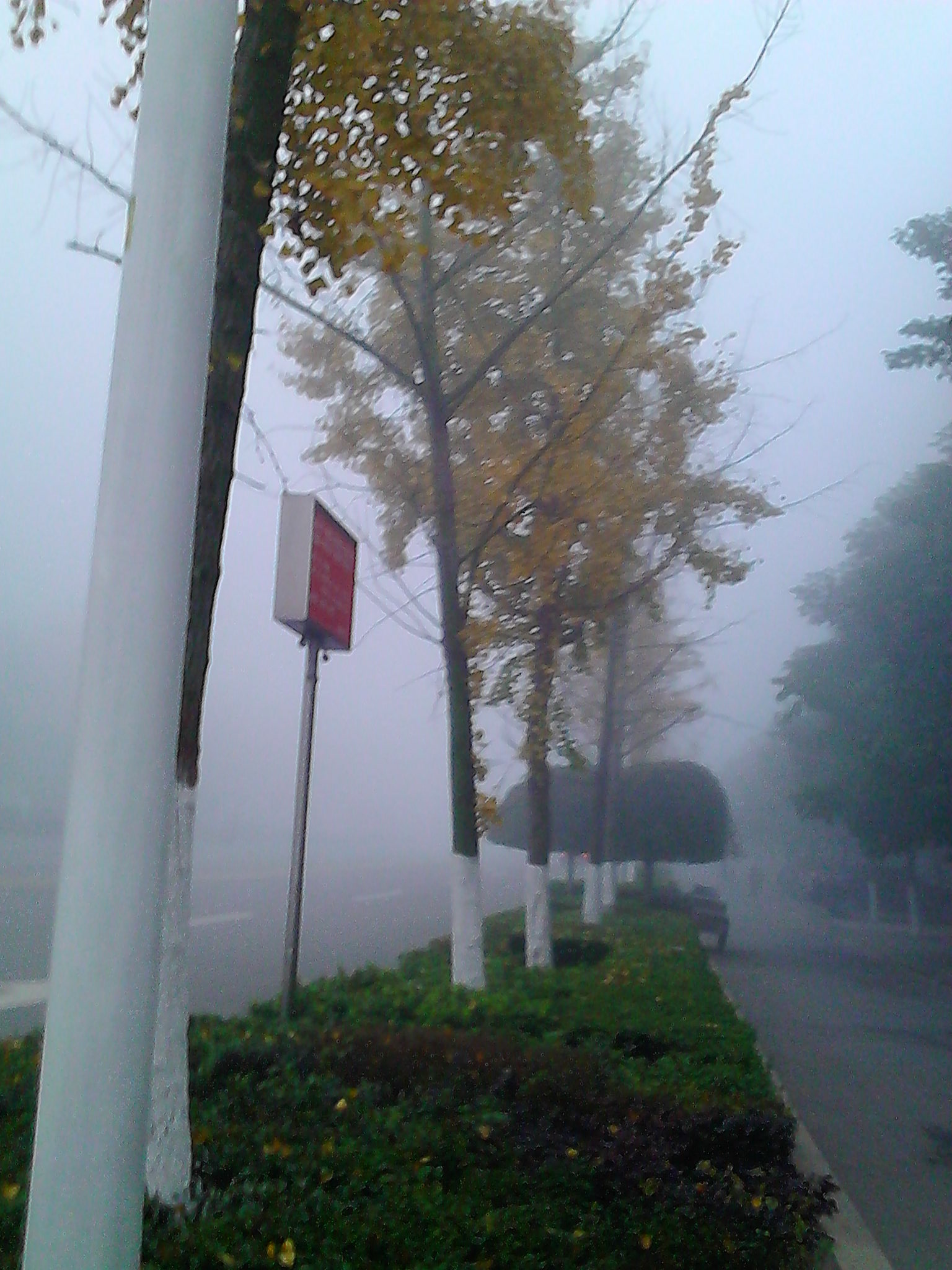 IMG_20131206_081230.jpg
