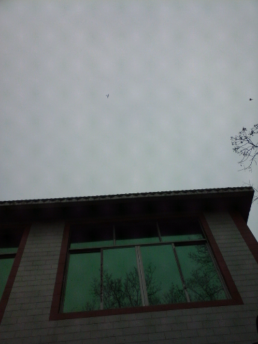 20140304_085447.jpg