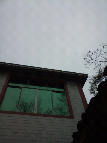 20140304_085453.jpg