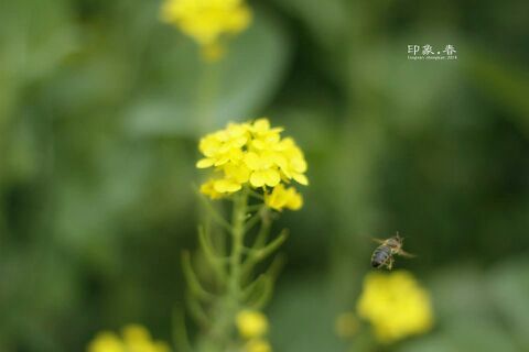 IMG_20140318_123105.jpg