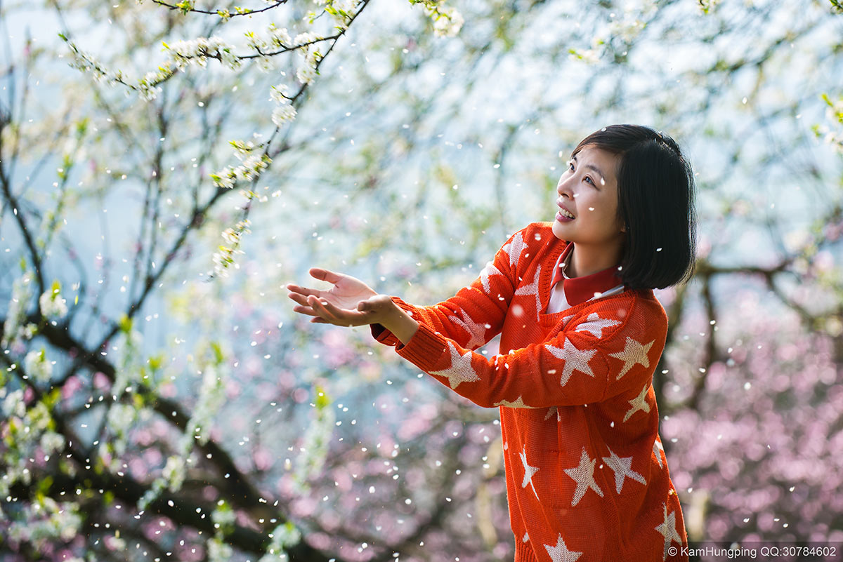 2014-03-17重庆市渝北区统景镇印合村李花节25.jpg