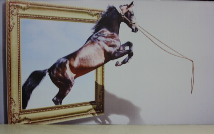 QQ图片20140515123831.jpg