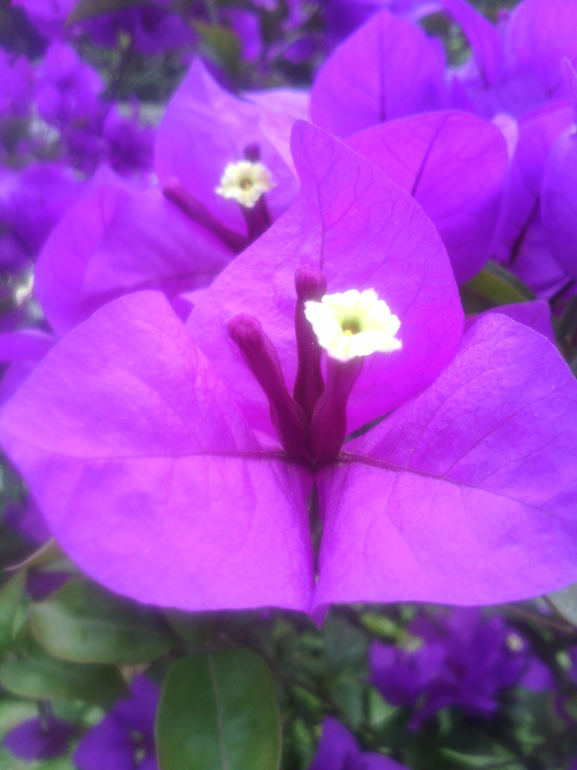 QQ图片20140527123315.jpg