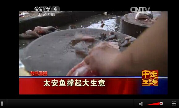 CCTV4正在直播
