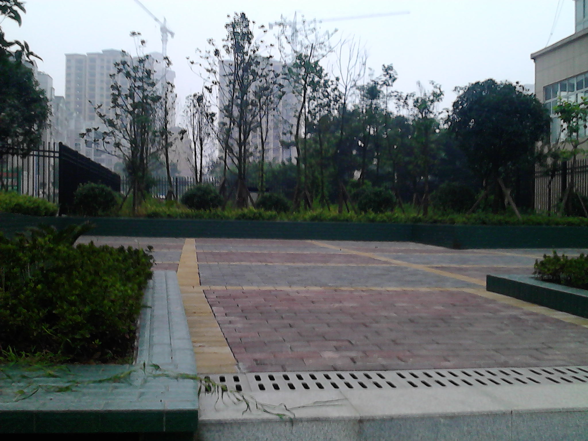 IMG_20140708_074700.jpg
