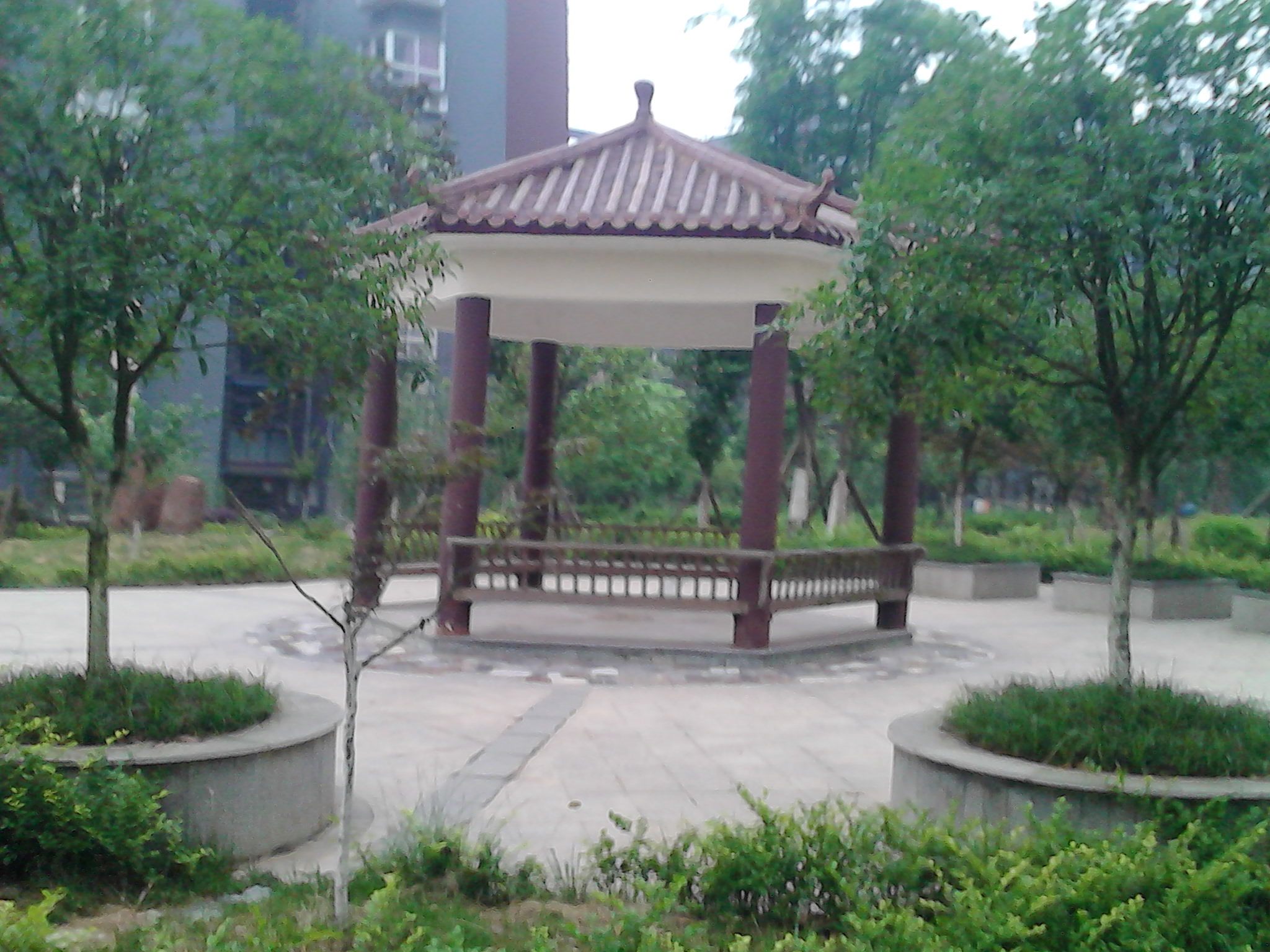 IMG_20140708_074743.jpg