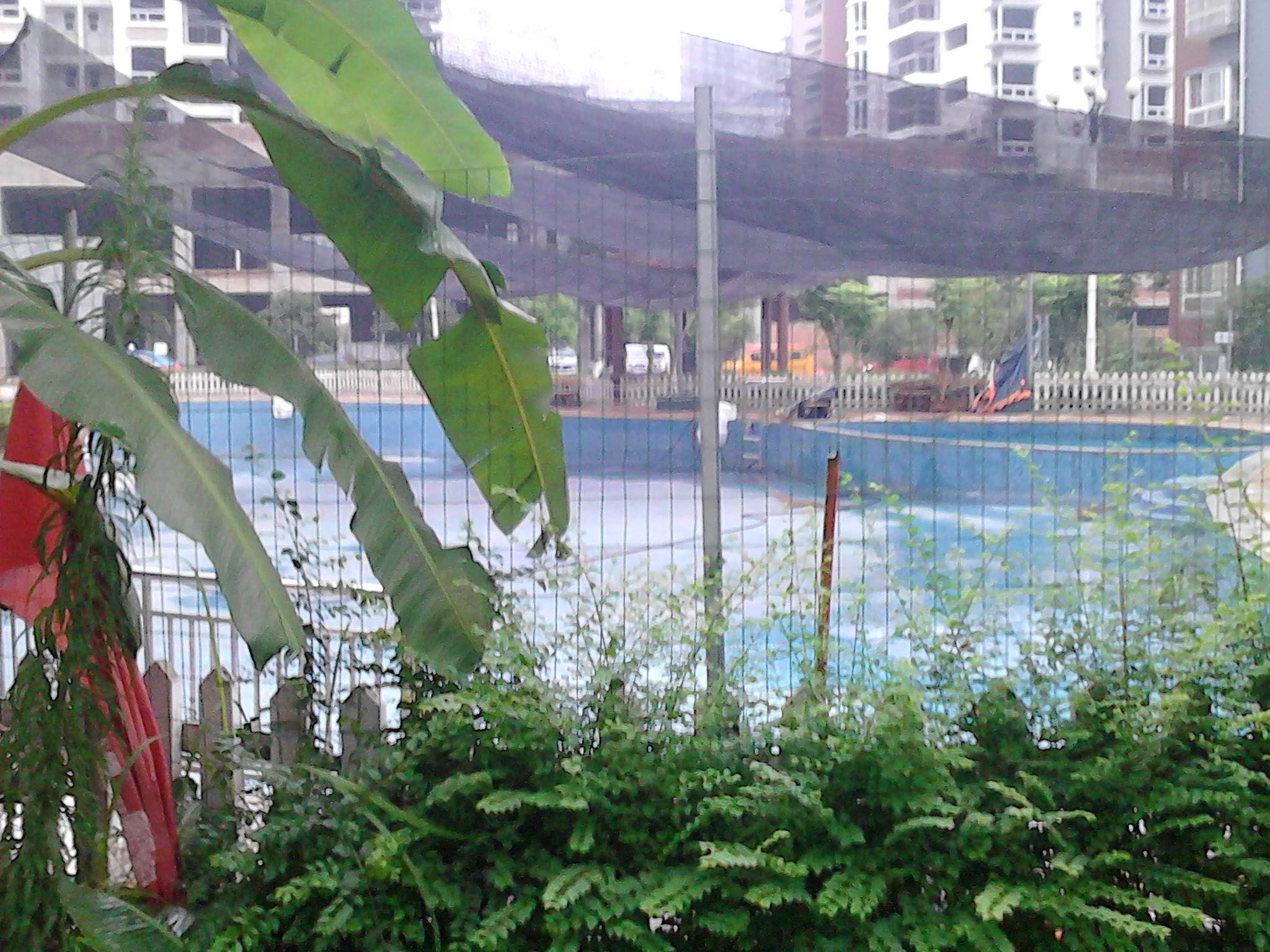 IMG_20140708_074802.jpg