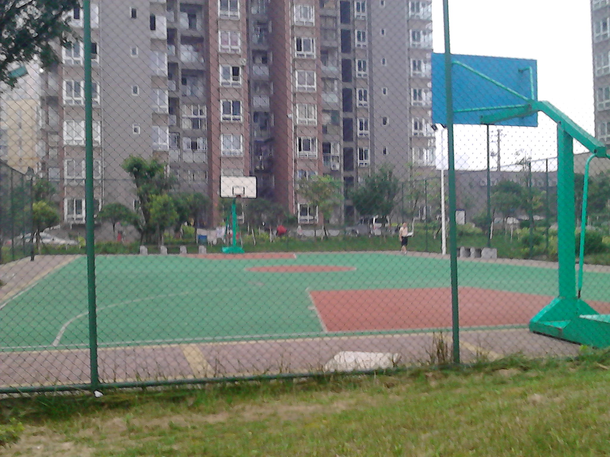 IMG_20140708_074846.jpg