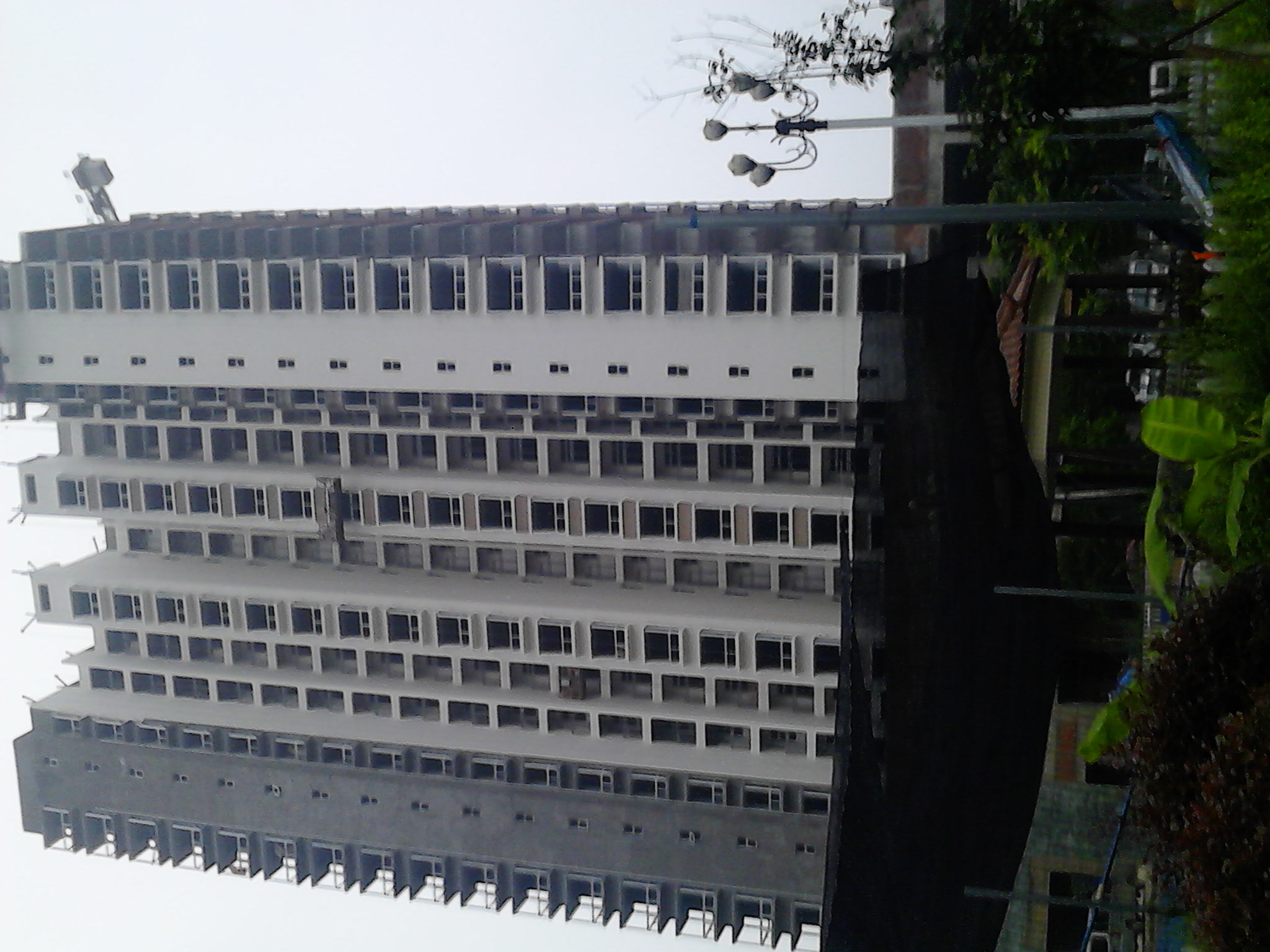 IMG_20140708_074939.jpg