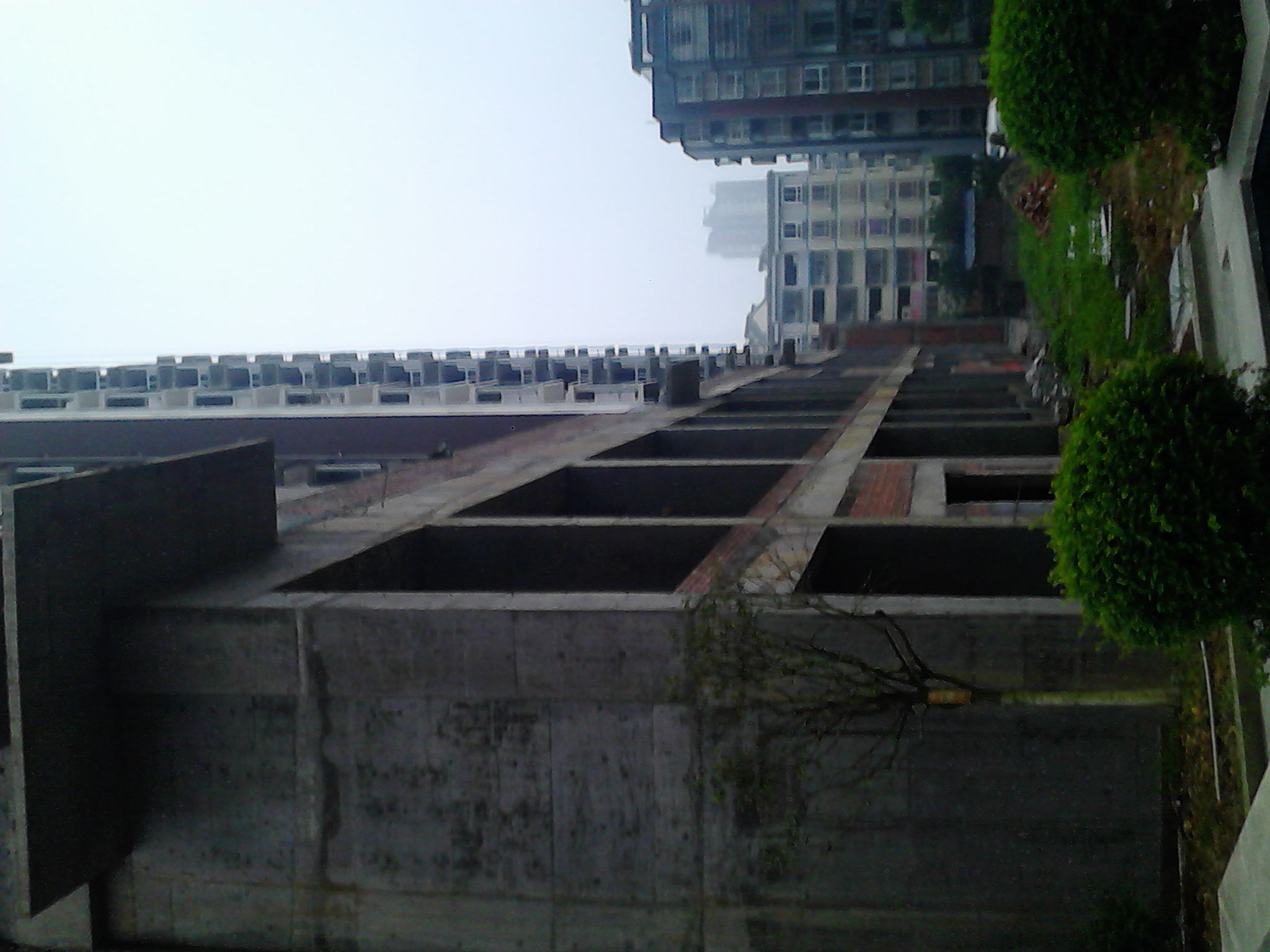 IMG_20140708_075204.jpg