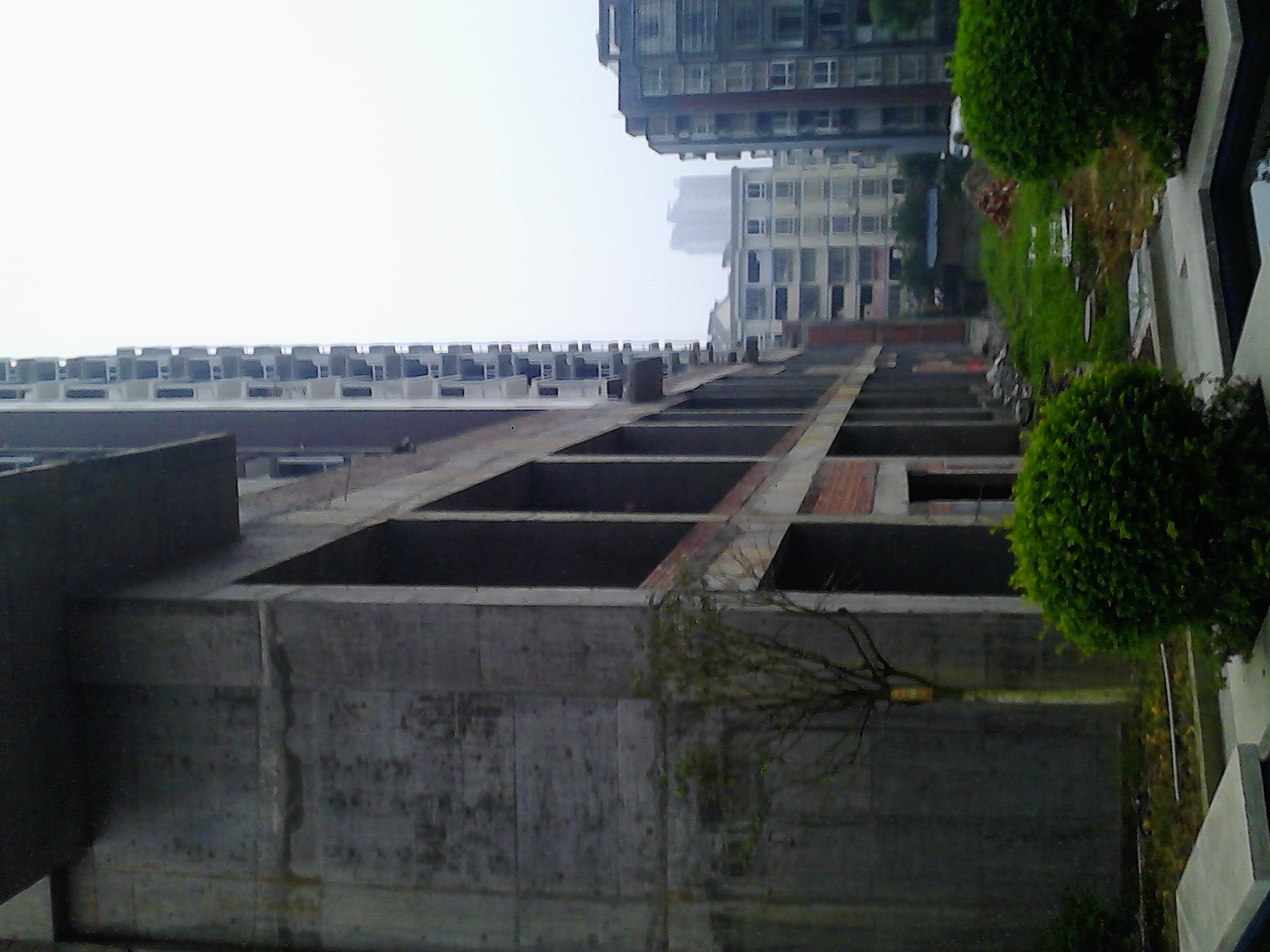 IMG_20140708_075206.jpg
