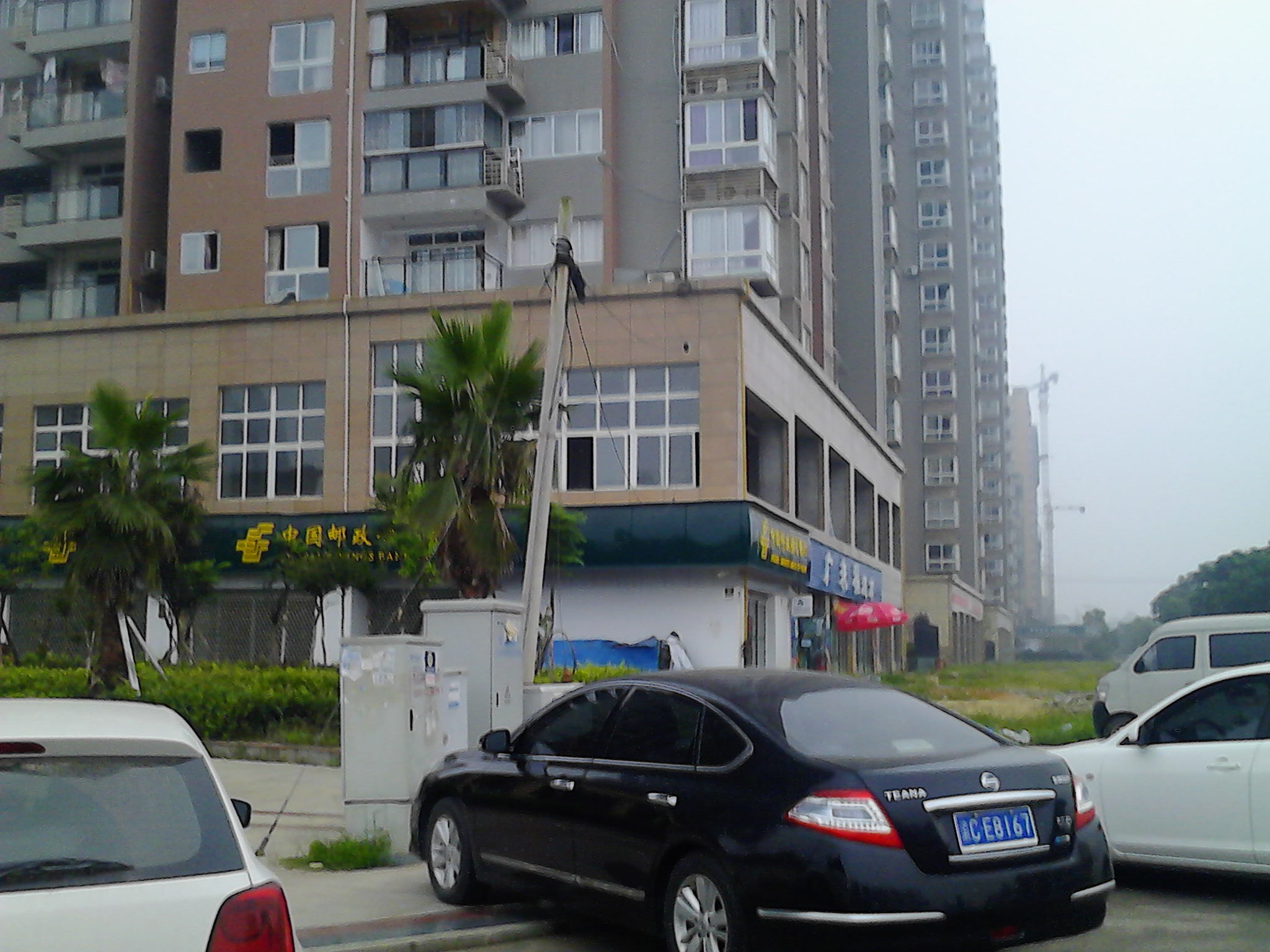 IMG_20140708_075301.jpg