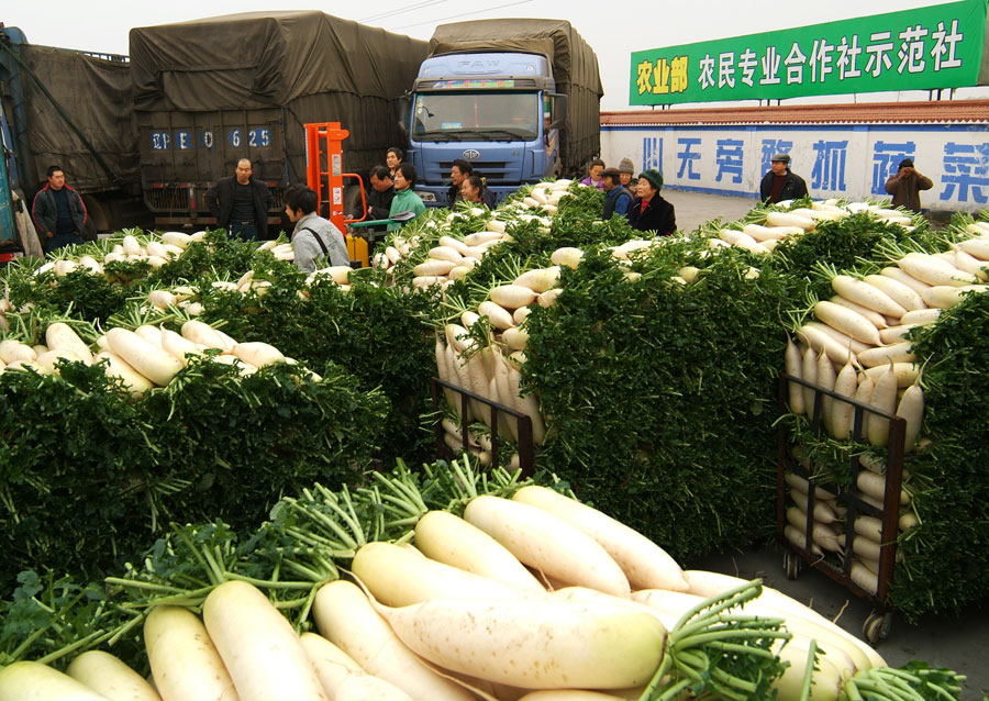蔬菜01.jpg