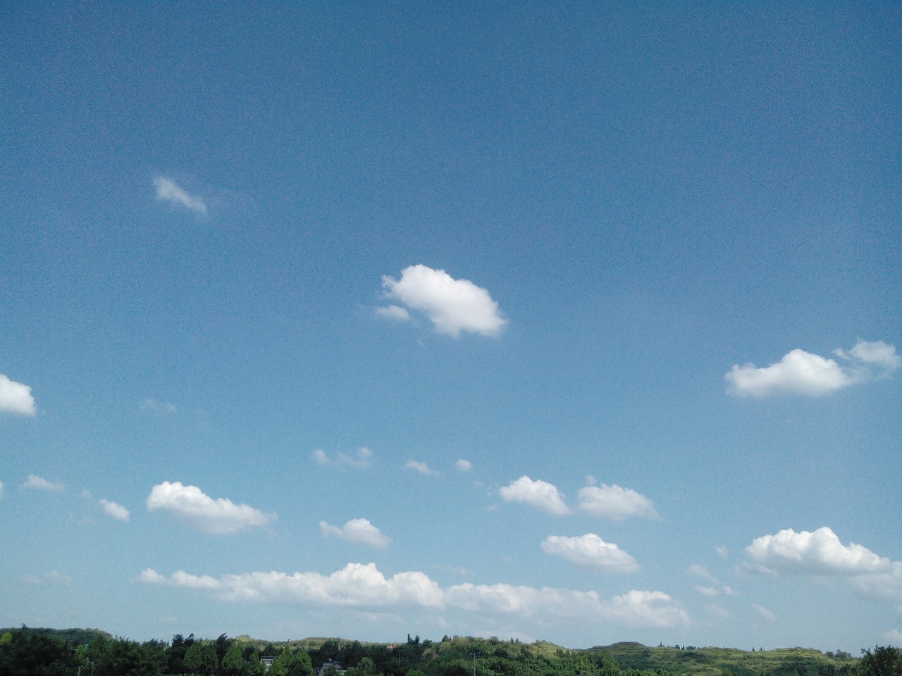 IMG_20140721_161819.jpg