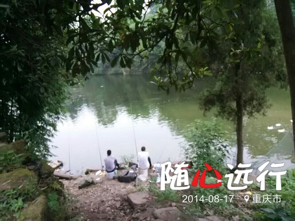 QQ图片20140818070243.jpg