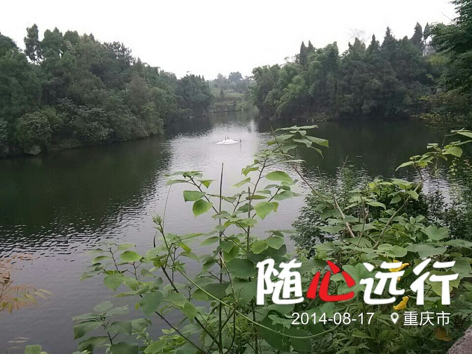 QQ图片20140818070252.jpg