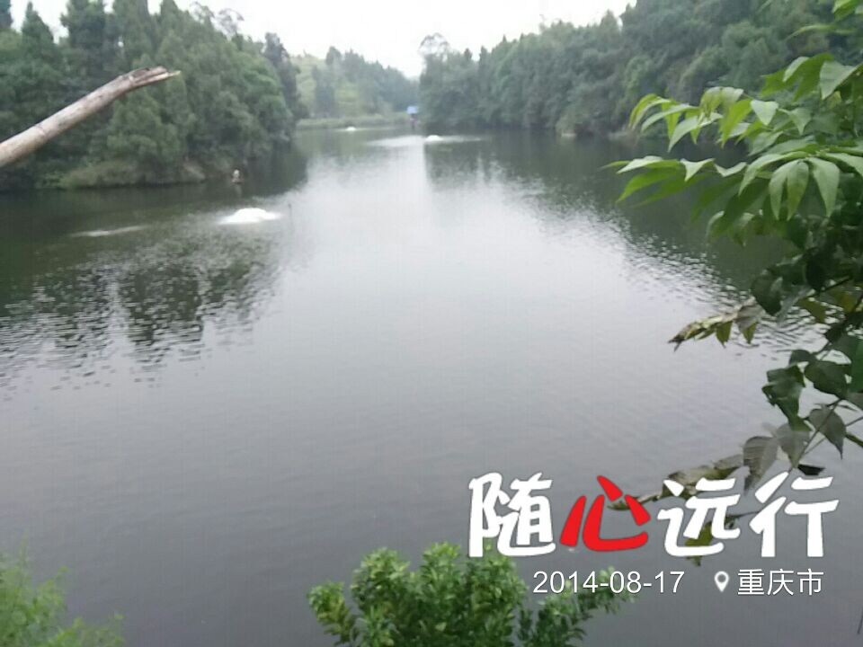 QQ图片20140818070236.jpg