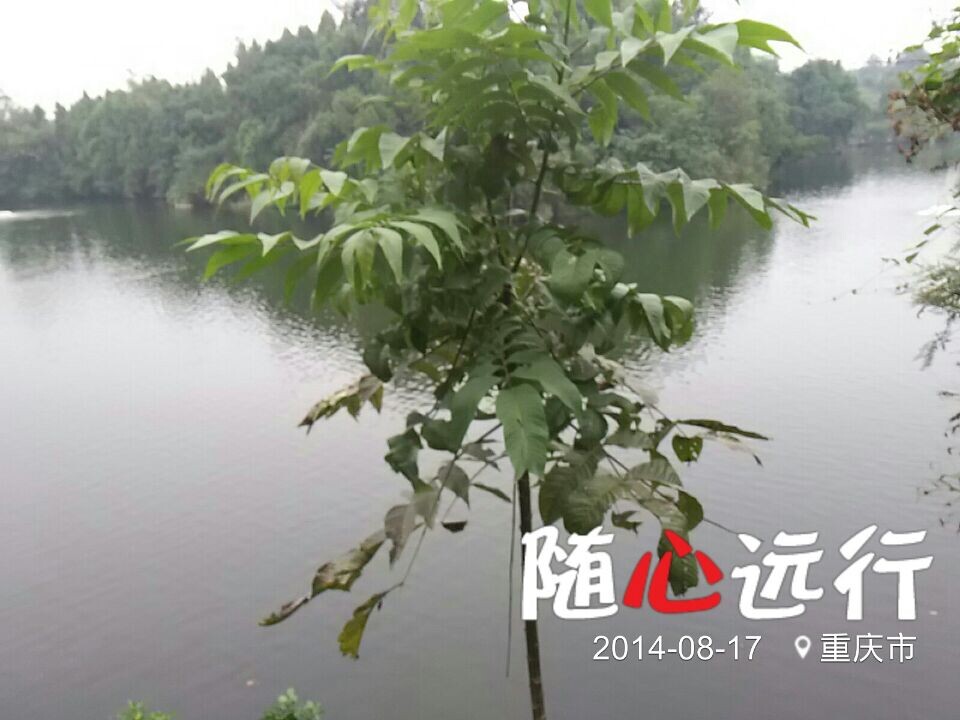 QQ图片20140818070239.jpg