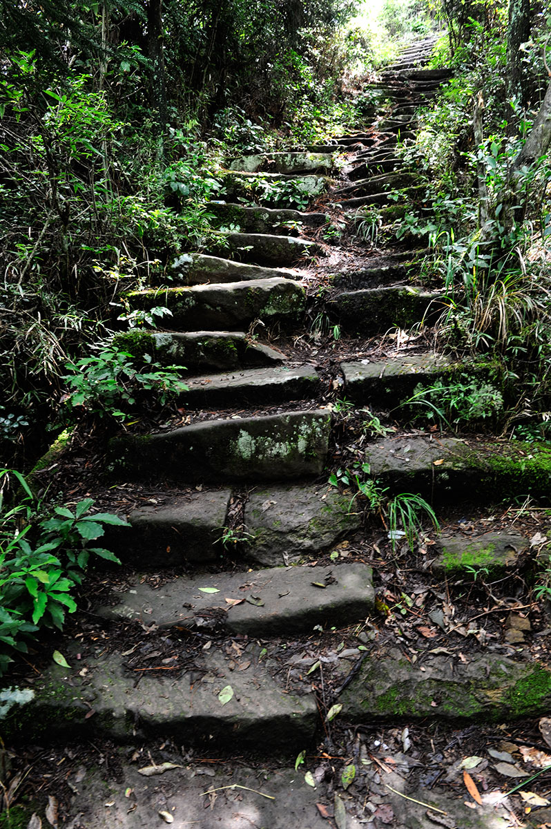 万寿山寨古路