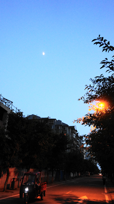 DSC01943_副本.jpg