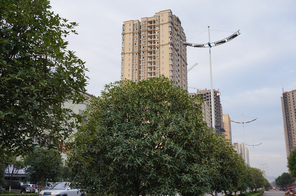 DSC05674.JPG