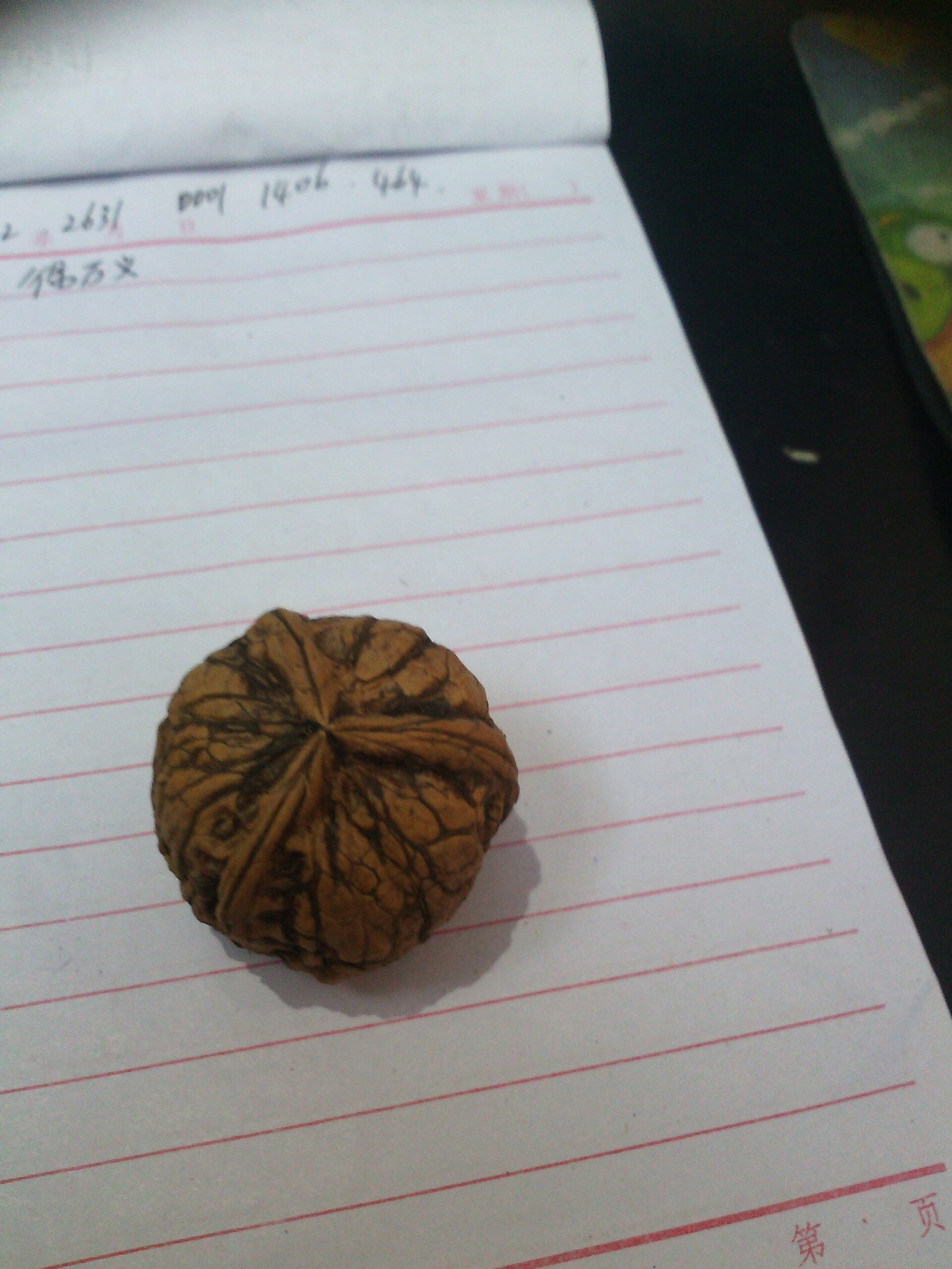 QQ图片20140924153311.jpg