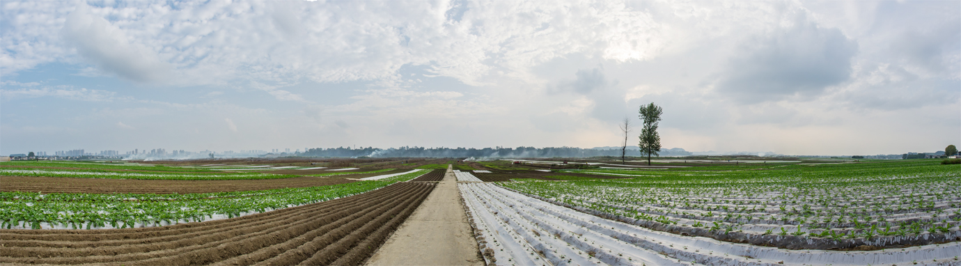 桂林坝蔬菜基地全景图1.jpg