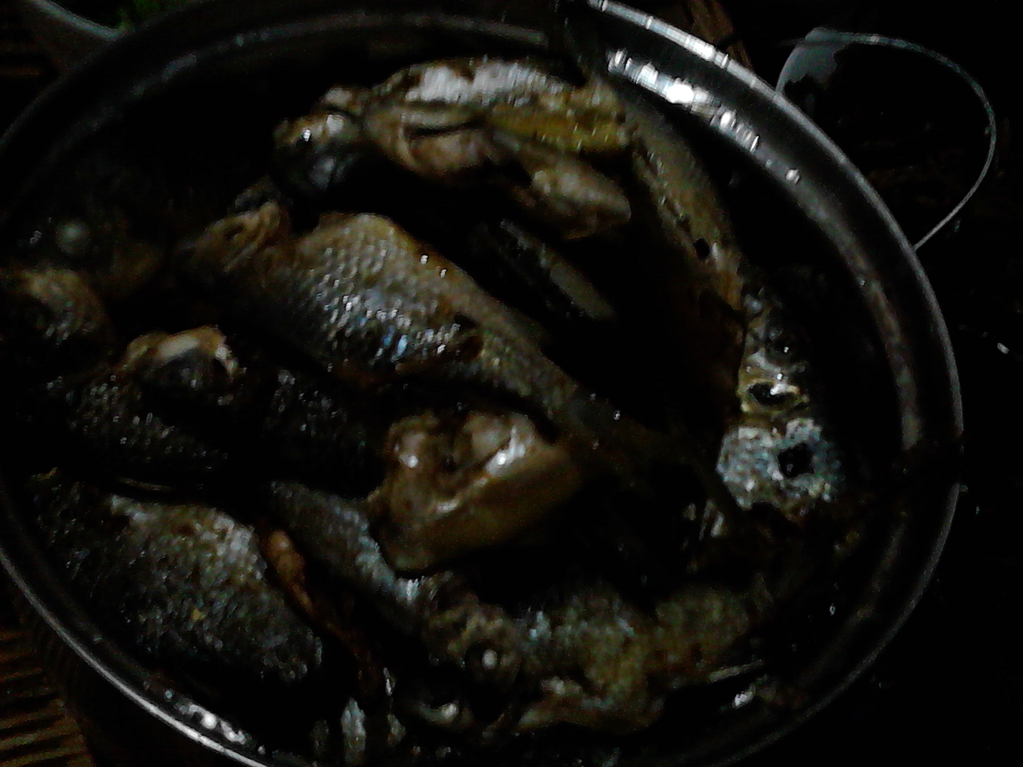 IMG_20141025_095356.jpg