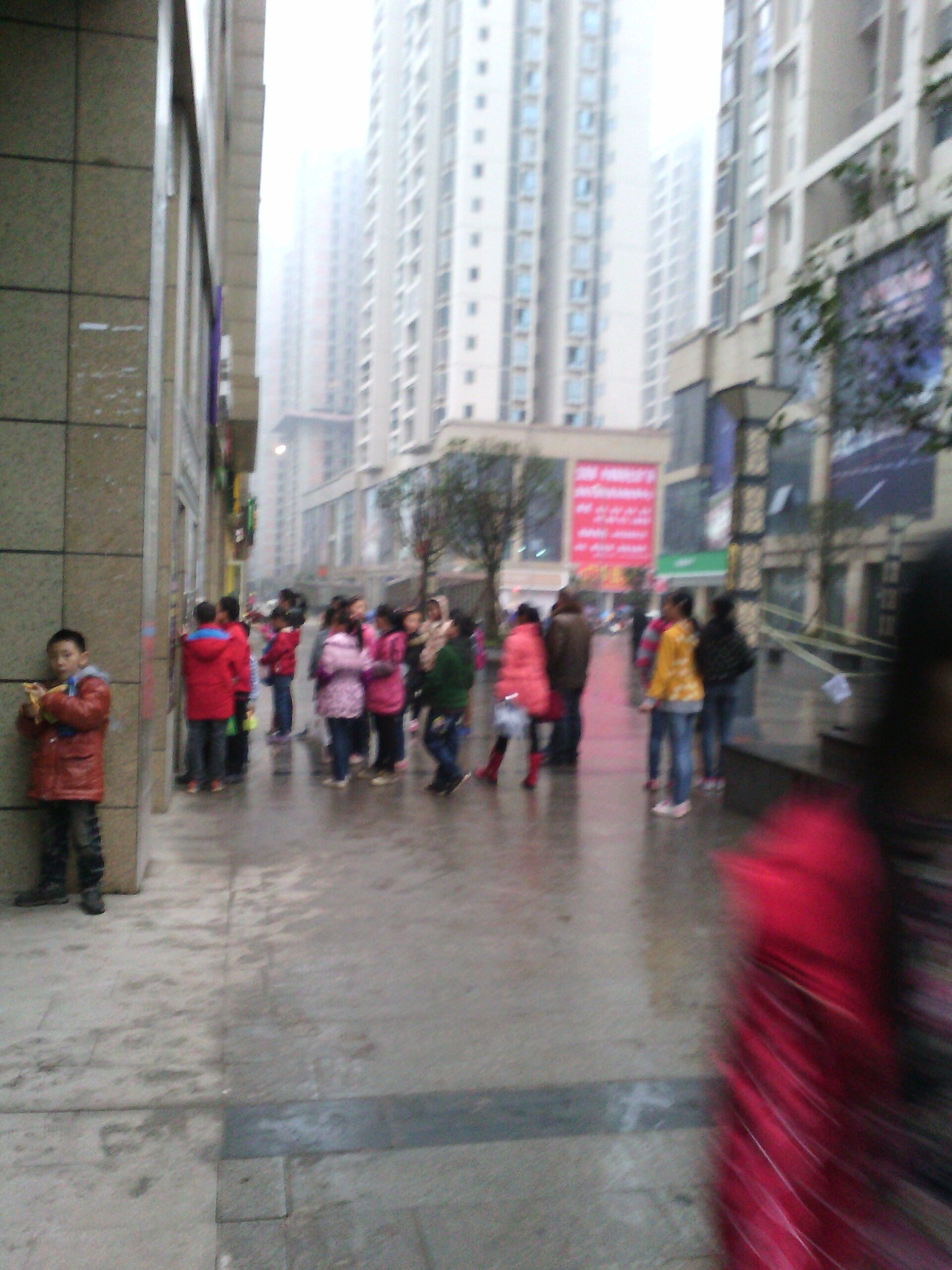 QQ图片20141129122724.jpg
