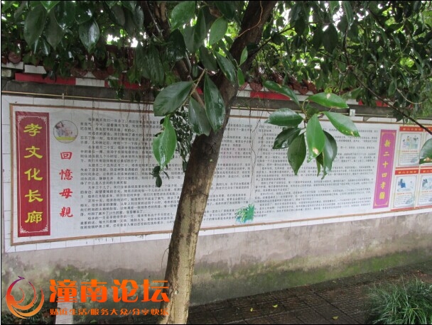 QQ图片20141218153336.jpg