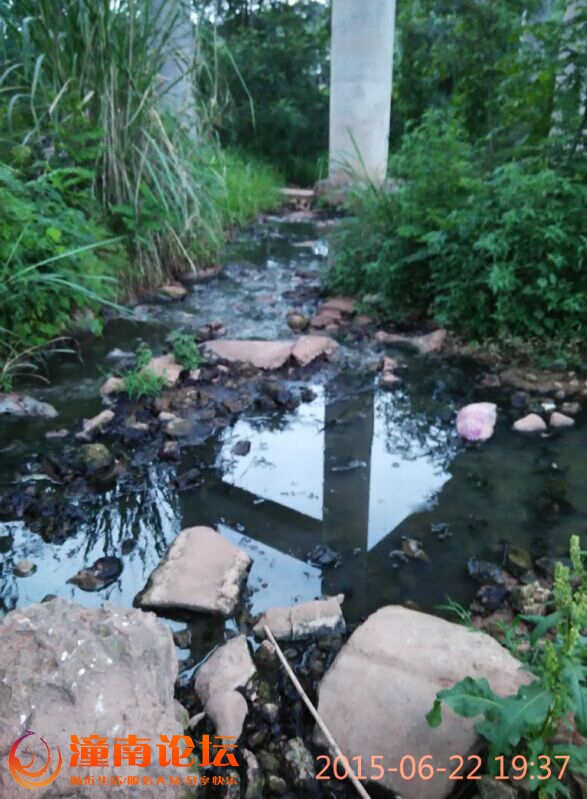 高速路蒋家湾大桥下