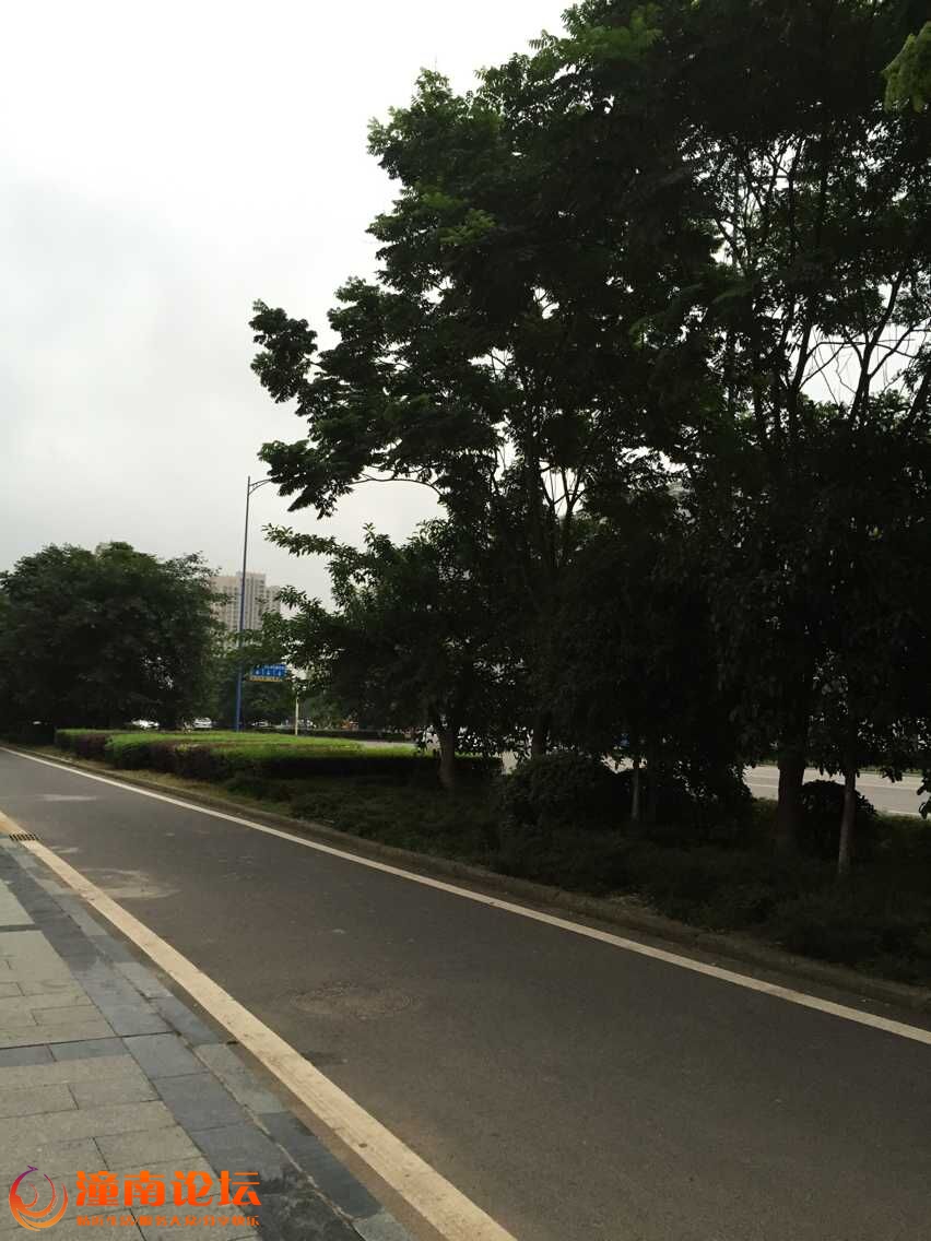 QQ图片20150629085917.jpg