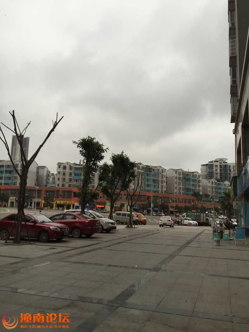 QQ图片20150629085942.jpg