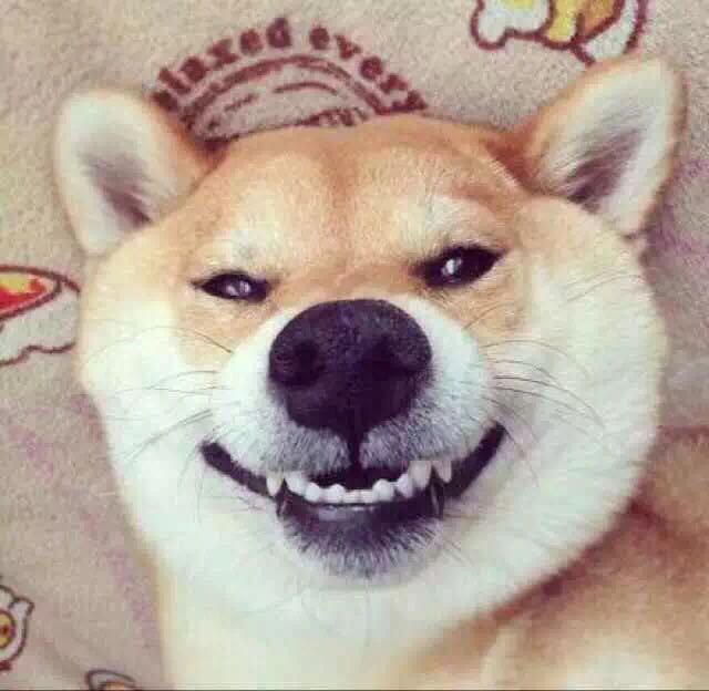rXOeEoqMXqjw.jpg