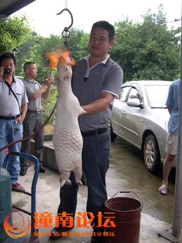 5.JPG