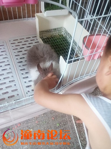 IMG20160606163140.jpg