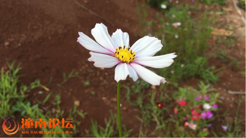 zlx3AjiZR0x0.jpg