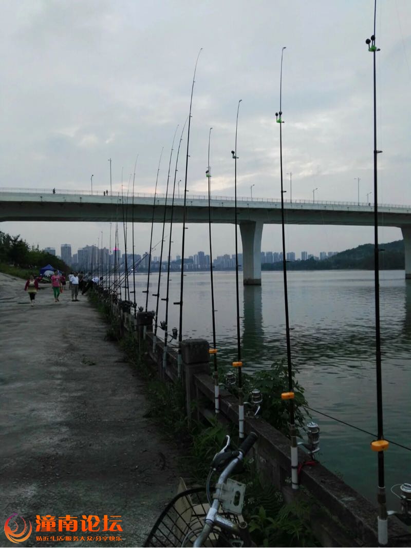 6CSW92Cd520D.jpg