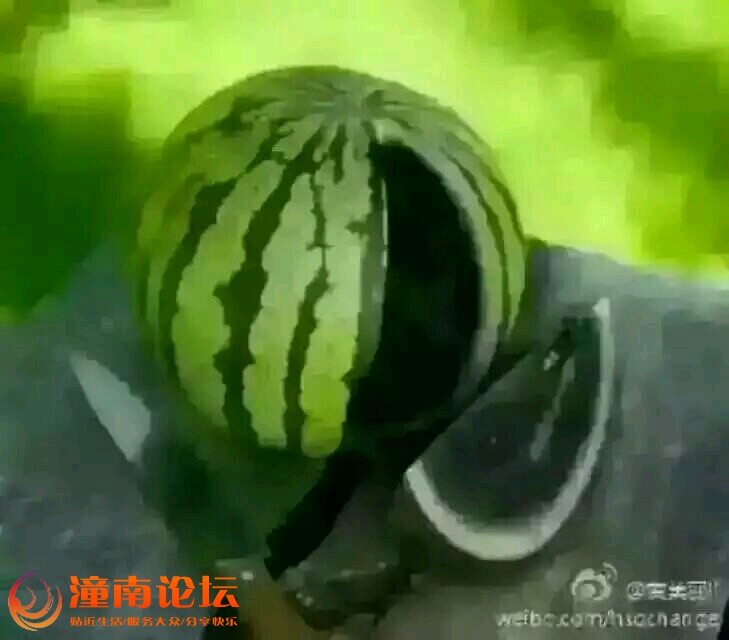 c5a0A3apz3ao.jpg
