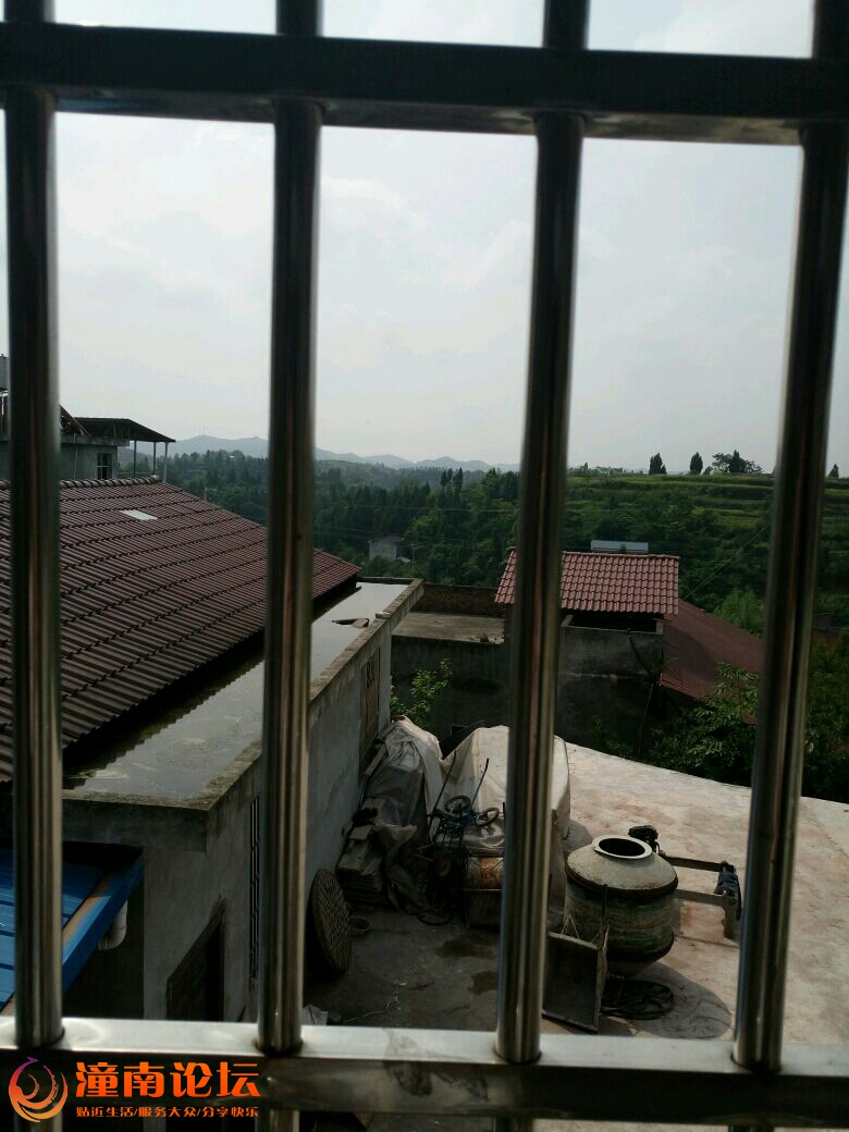 d8Dn98PDPoPI.jpg