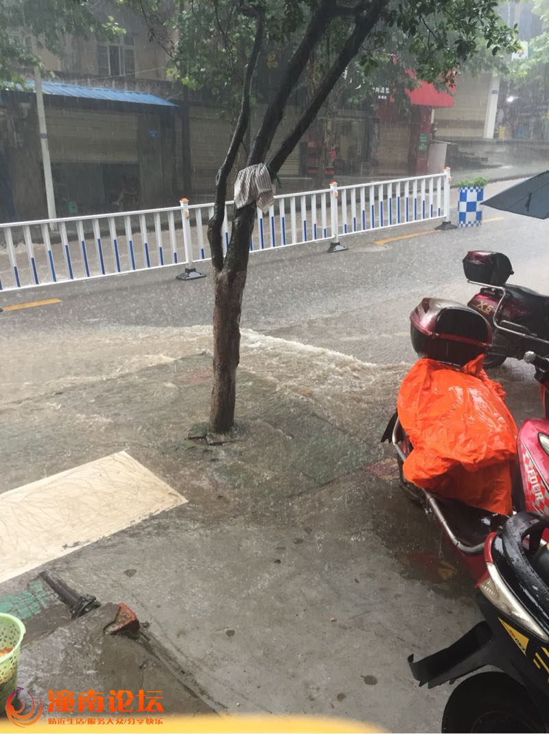 039xX2QQ3sQ8.jpg