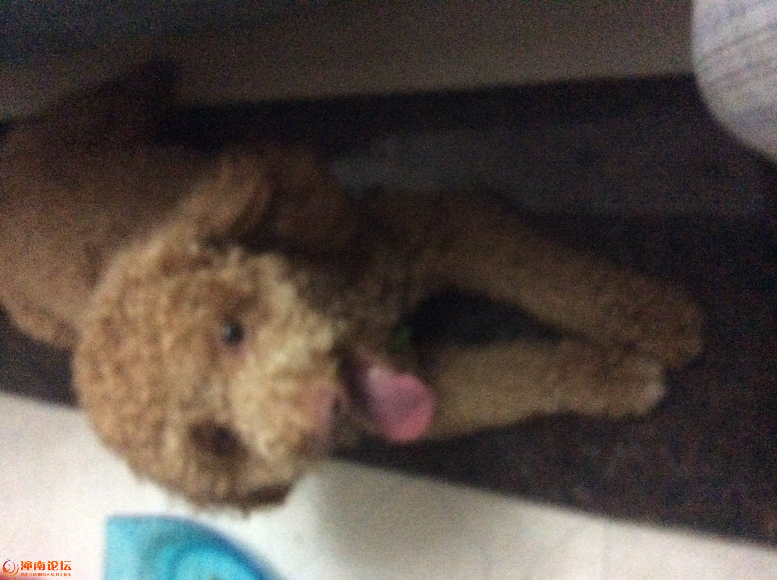 image.jpeg