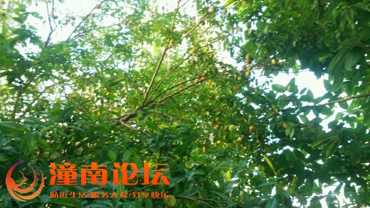 Su882Tu605E0.jpg