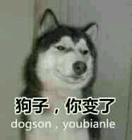 uqSFUpdF8SDj.jpg