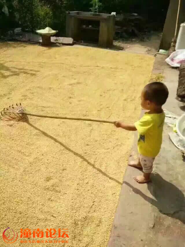 9SplHsH7hsG7.jpg