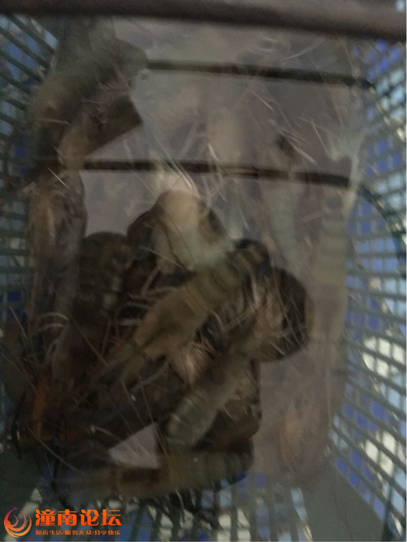 pOO2h4NTyTVO.jpg