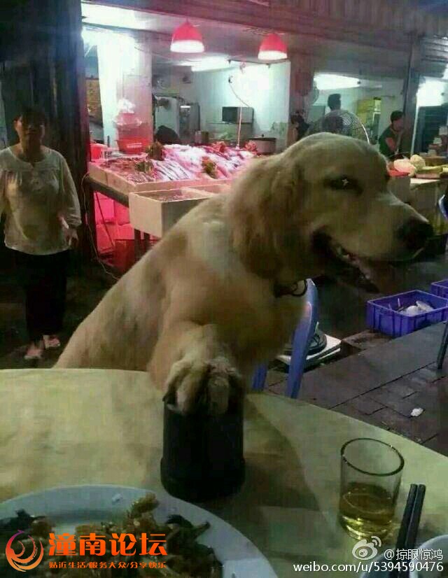 ysYMUJLoU7YU.jpg